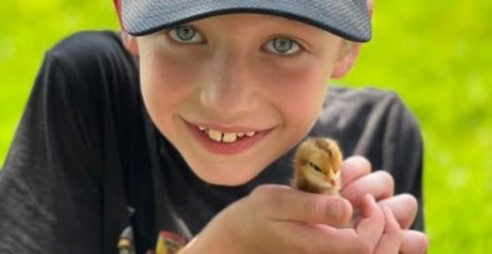 Center Grove Orchard | Apple Picking & Family Farm in Cambridge, Iowa