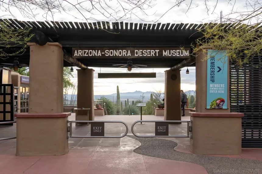 Arizona-Sonora Desert Museum, Tucson, AZ - Zoo, Botanical Garden and Art Gallery