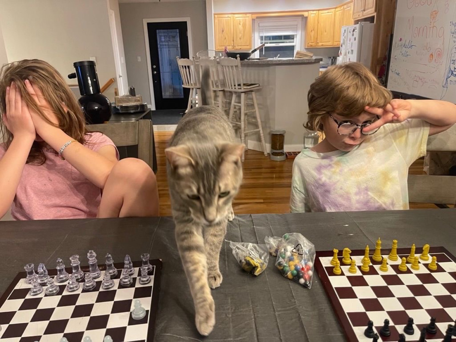 Tag Team Chess