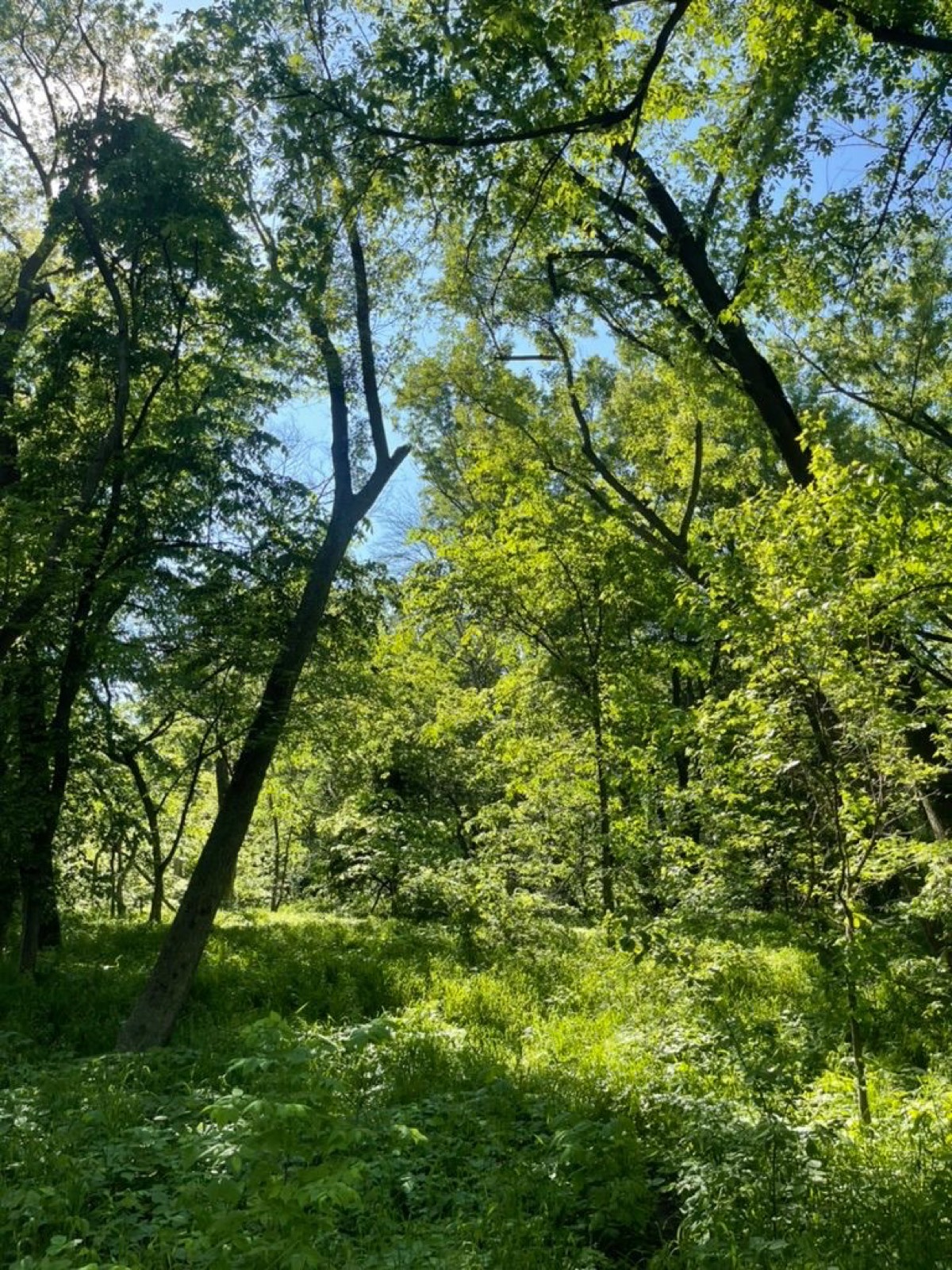 Another Beautiful Day