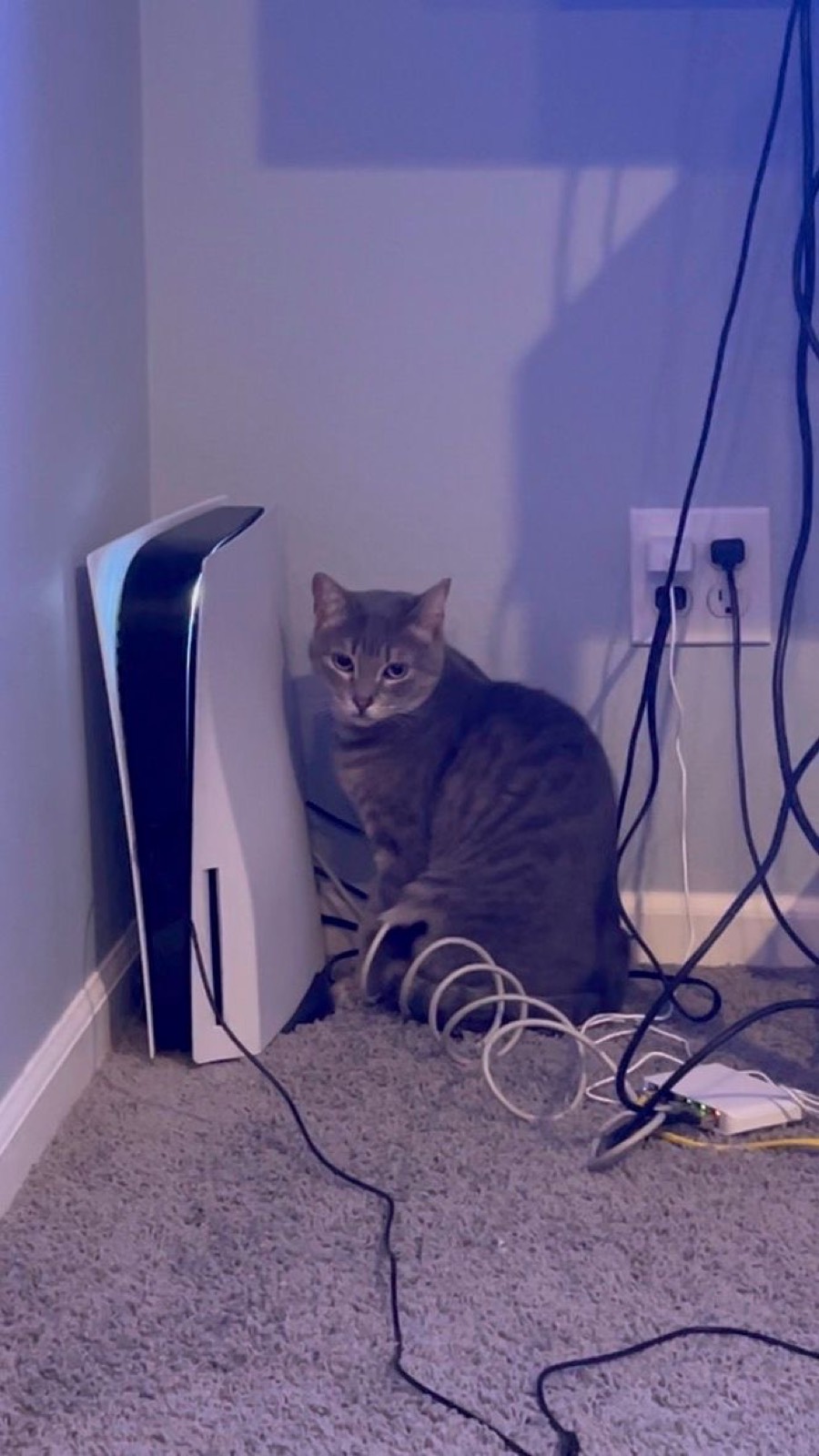 Playstation Heater Cat