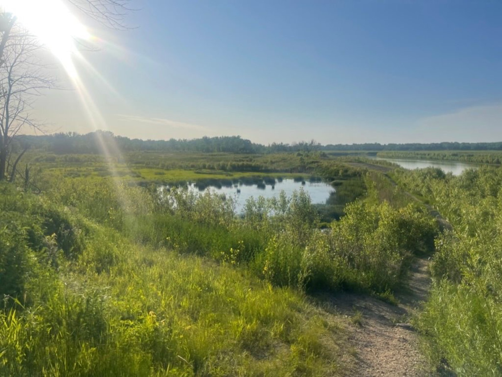 Evening Hike With Raz
