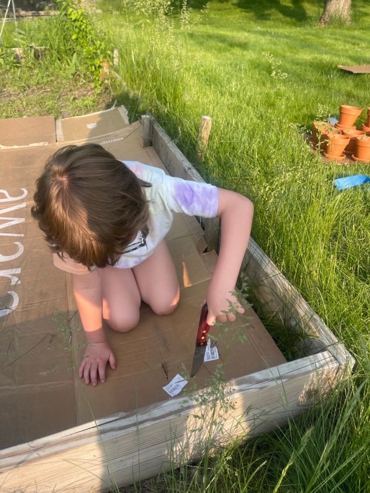 Gardening Continues