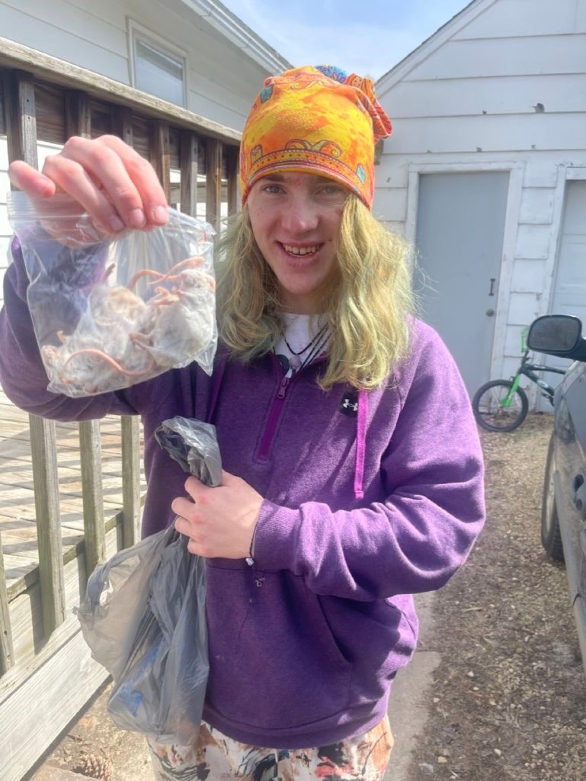 Snake Food