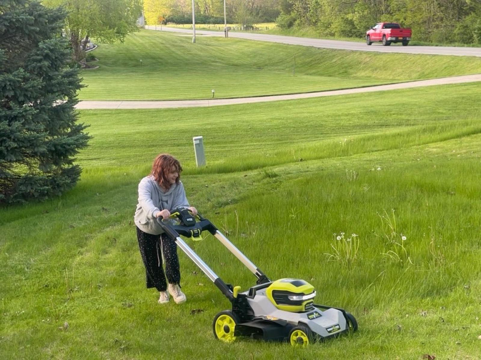 Brigetta Mows!