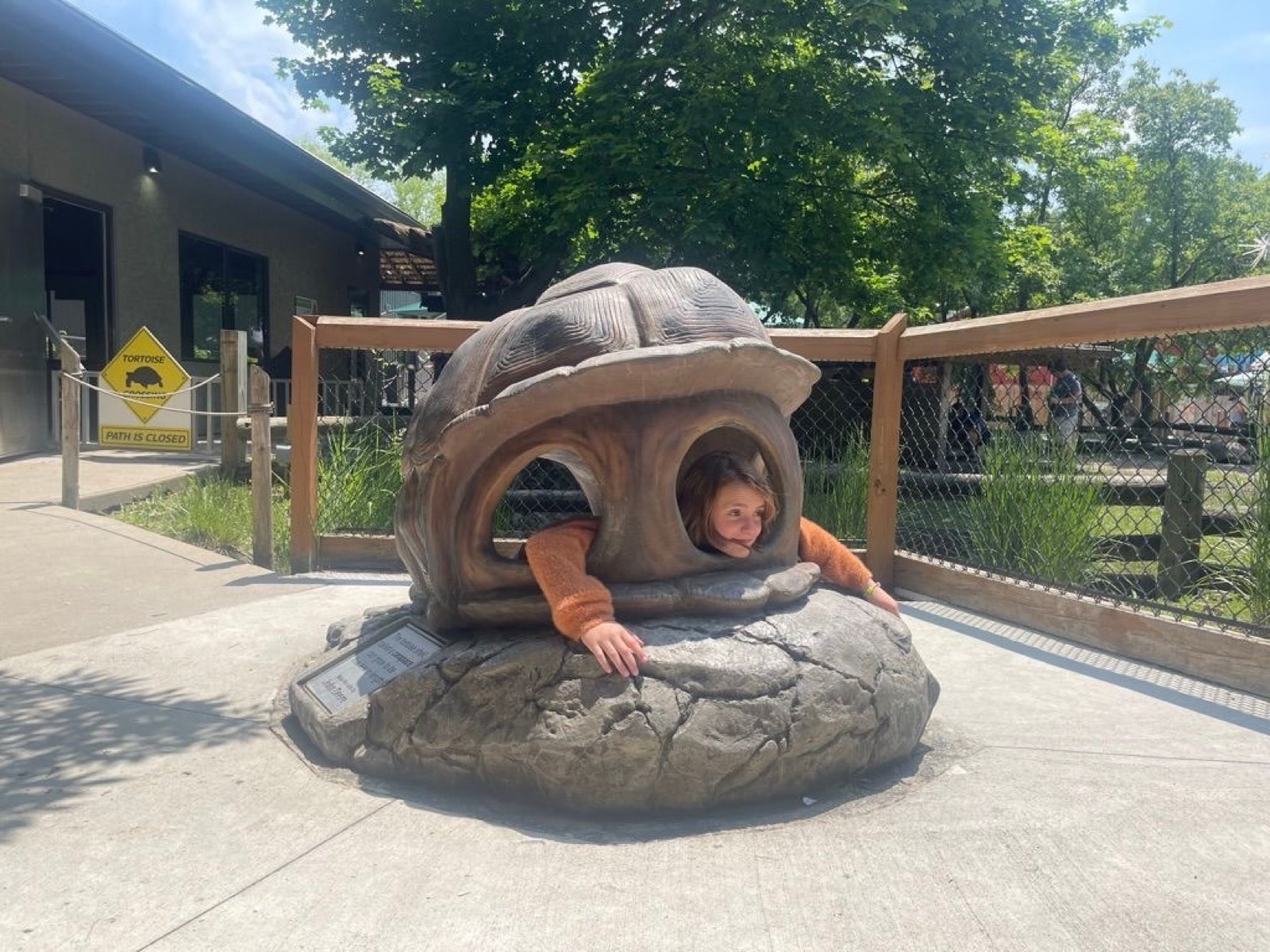 Turtle Bird