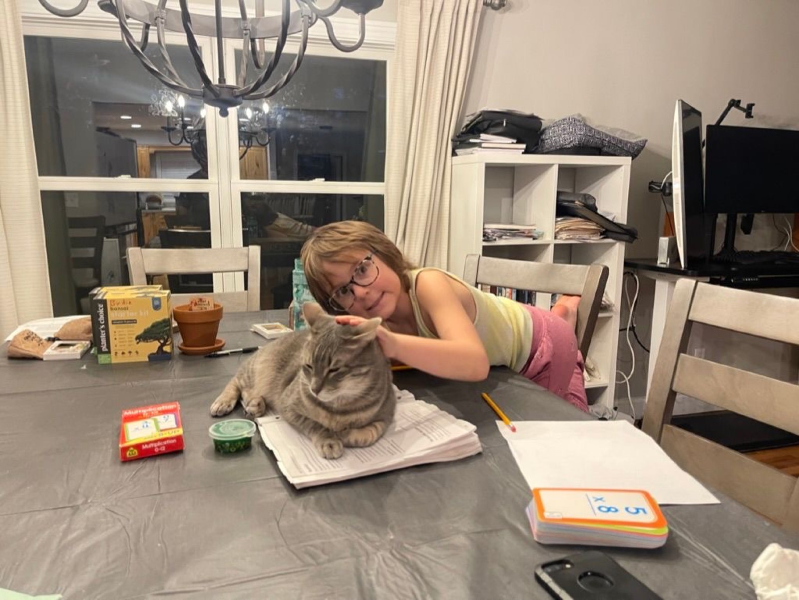 Learning some math…and study cat