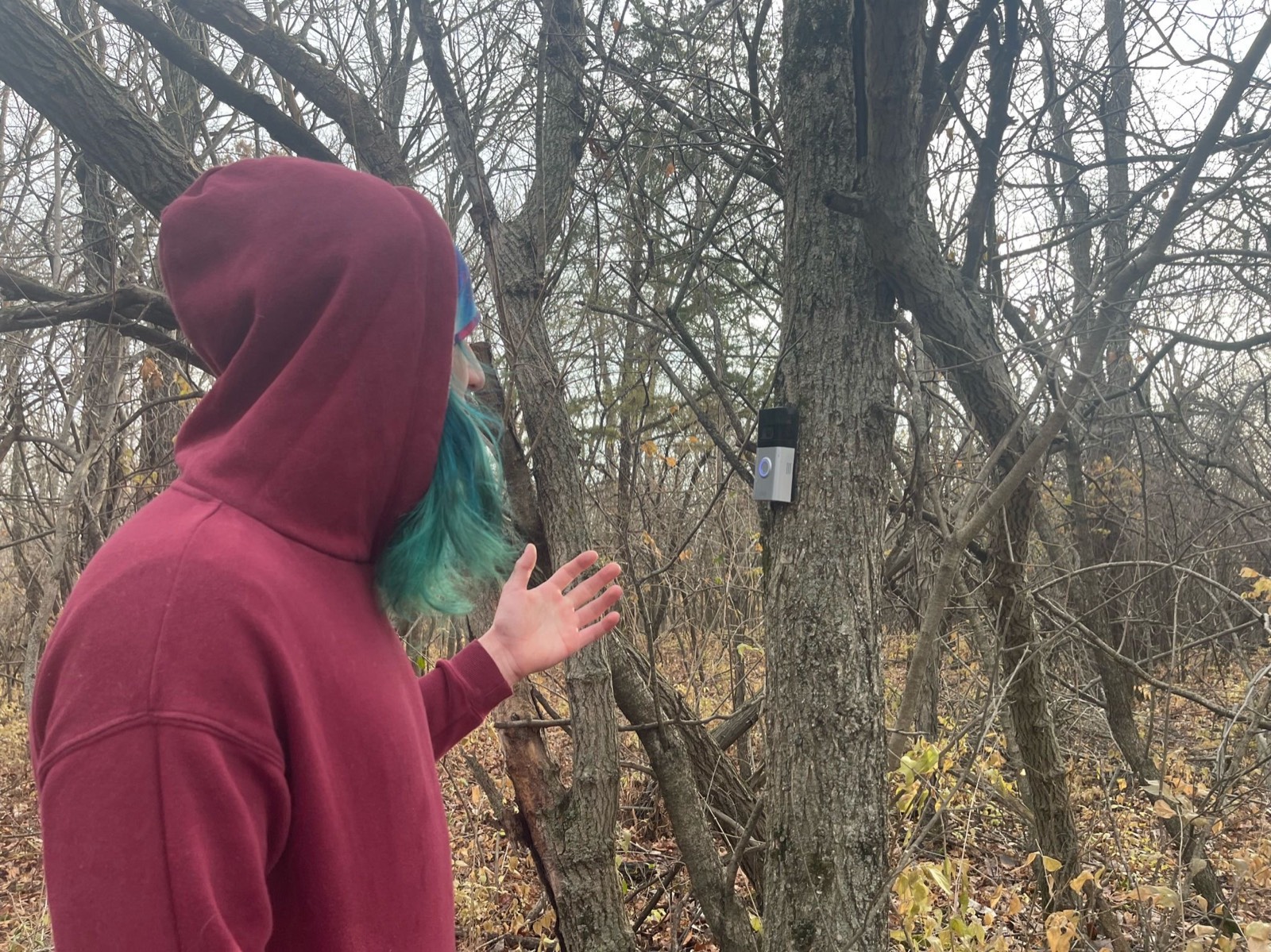 We found a powered ring on a tree off the trail.