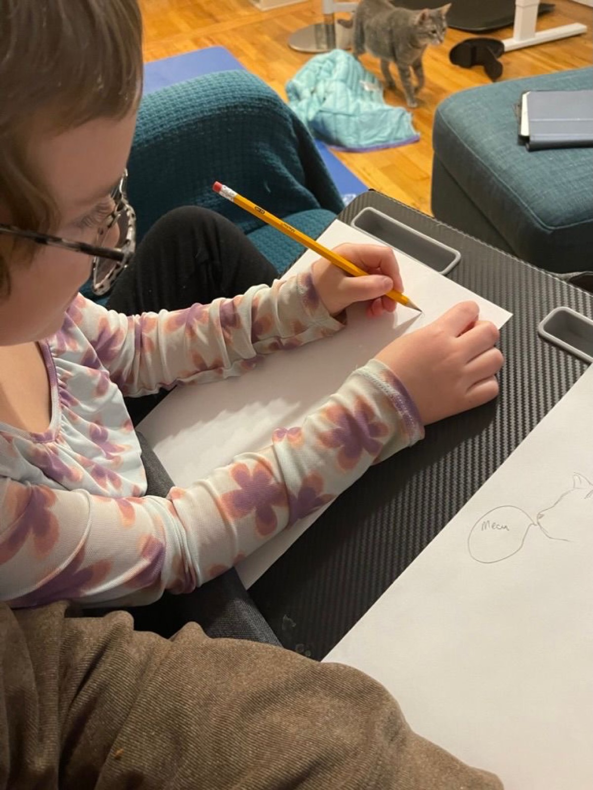 We are playing drawing guessing game.